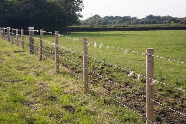 Barbed Wire Fence, Farm Fence, Bardbed Wire Fence Winston, Barbed Wire Fence Greensboro, Fence Greensboro