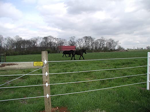 Coated Equifence, Horse Fence, Farm Fence, Electric Horse Fence.