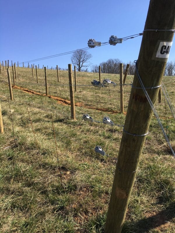 Vineyard Trellis, Orchard Trellis, Vineyard Posts, Vineyard Construction